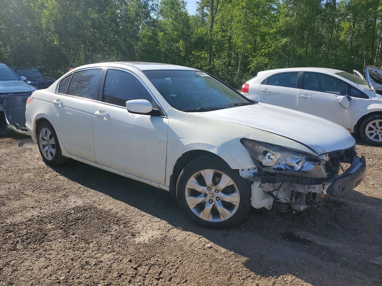 2010 Honda Accord Exl Белый vin: 1HGCP2F84AA800217