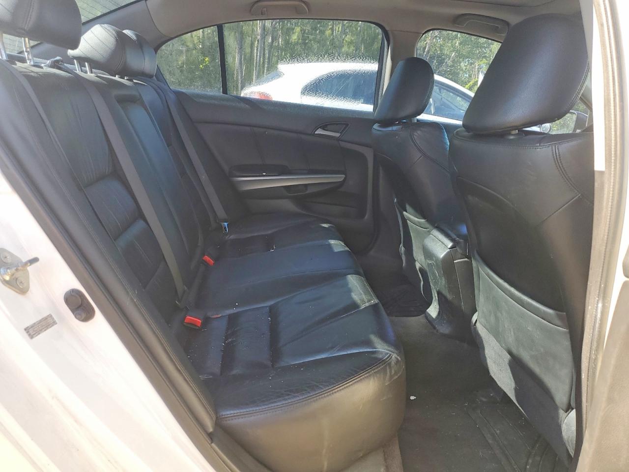 2010 Honda Accord Exl Белый vin: 1HGCP2F84AA800217