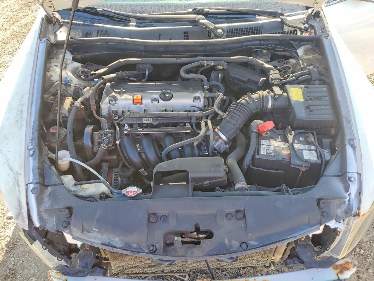 2010 Honda Accord Exl Белый vin: 1HGCP2F84AA800217