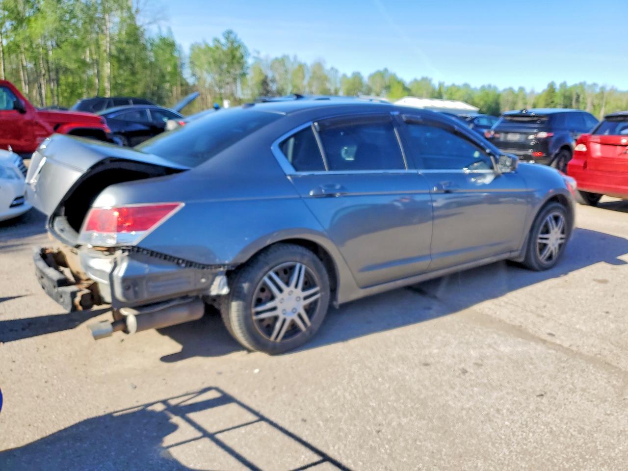 2010 Honda Accord Exl Charcoal vin: 1HGCP2F84AA800296