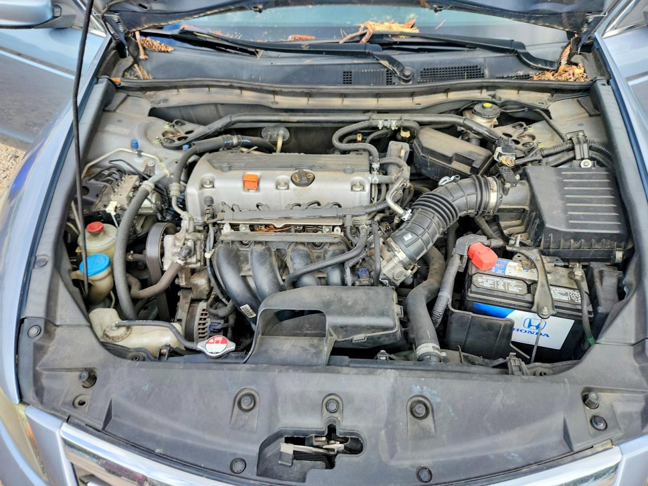 2011 Honda Accord Exl Синий vin: 1HGCP2F84BA052196