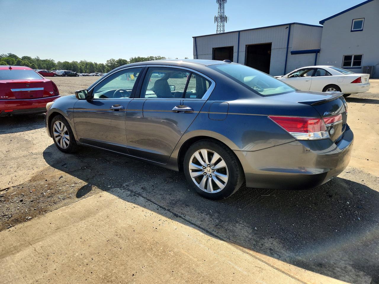 2011 Honda Accord Exl Gray vin: 1HGCP2F84BA065594