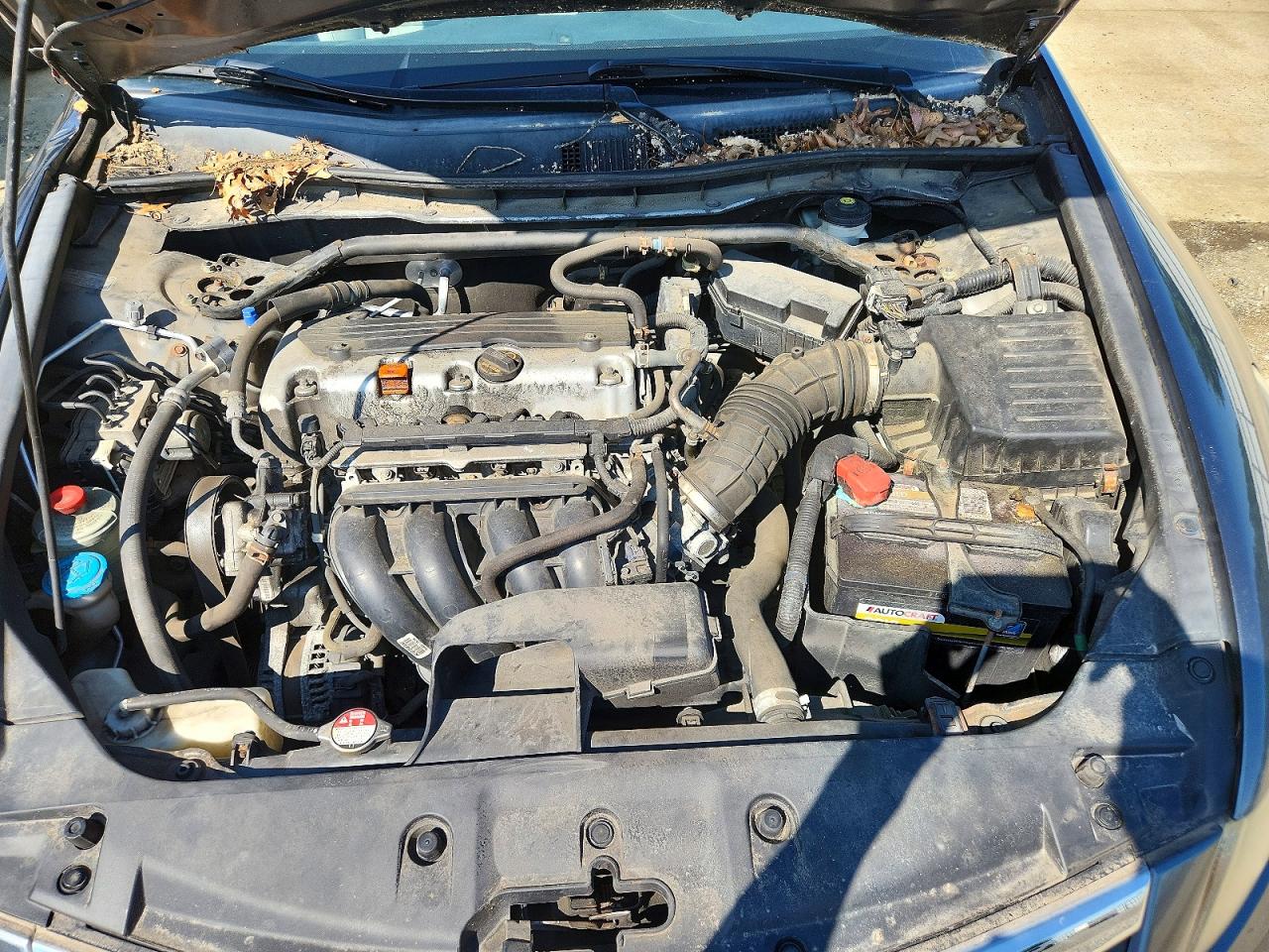 2011 Honda Accord Exl Gray vin: 1HGCP2F84BA065594