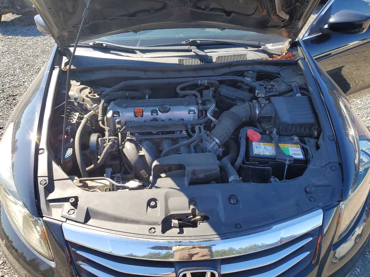 2011 Honda Accord Exl Черный vin: 1HGCP2F84BA116768