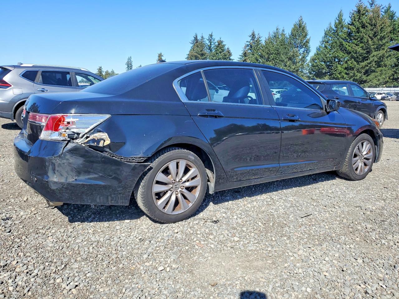 2011 Honda Accord Exl Черный vin: 1HGCP2F84BA116768