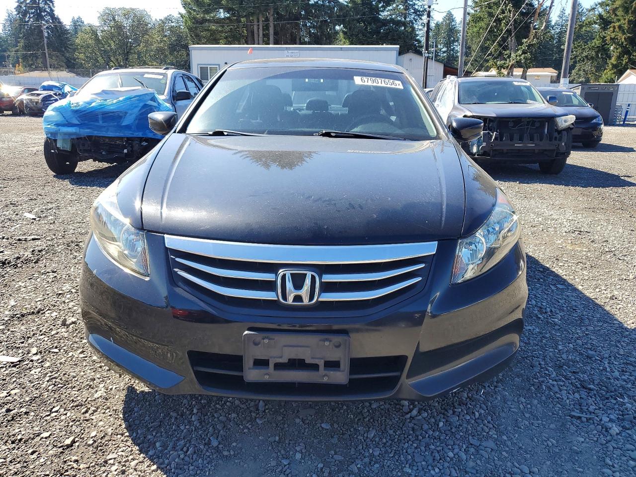 2011 Honda Accord Exl Черный vin: 1HGCP2F84BA116768