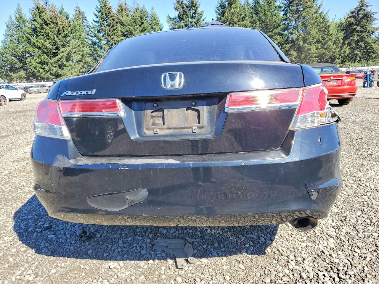 2011 Honda Accord Exl Черный vin: 1HGCP2F84BA116768