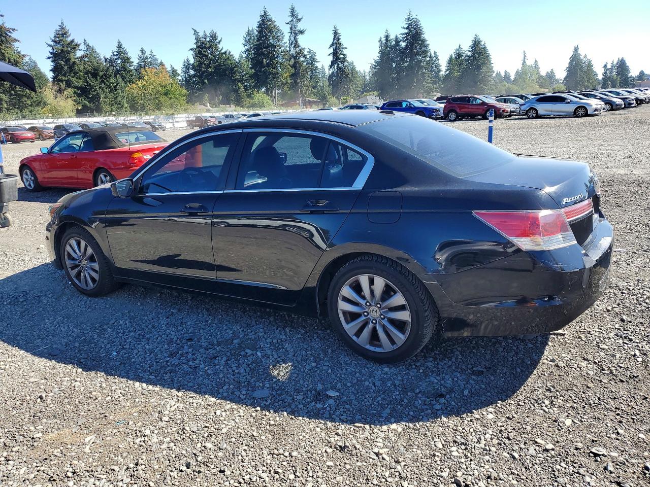 2011 Honda Accord Exl Черный vin: 1HGCP2F84BA116768