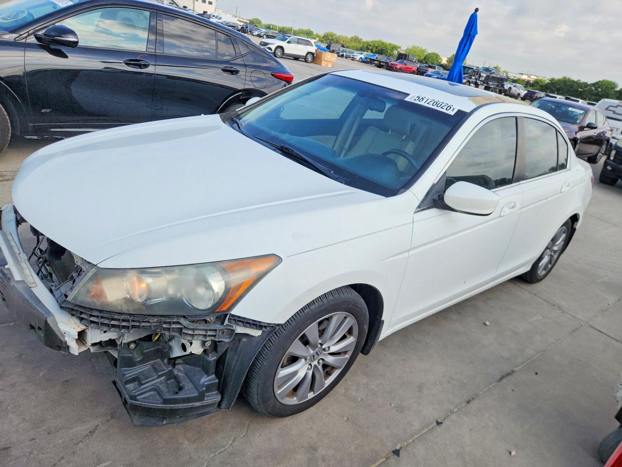 2011 Honda Accord Exl White vin: 1HGCP2F84BA125812