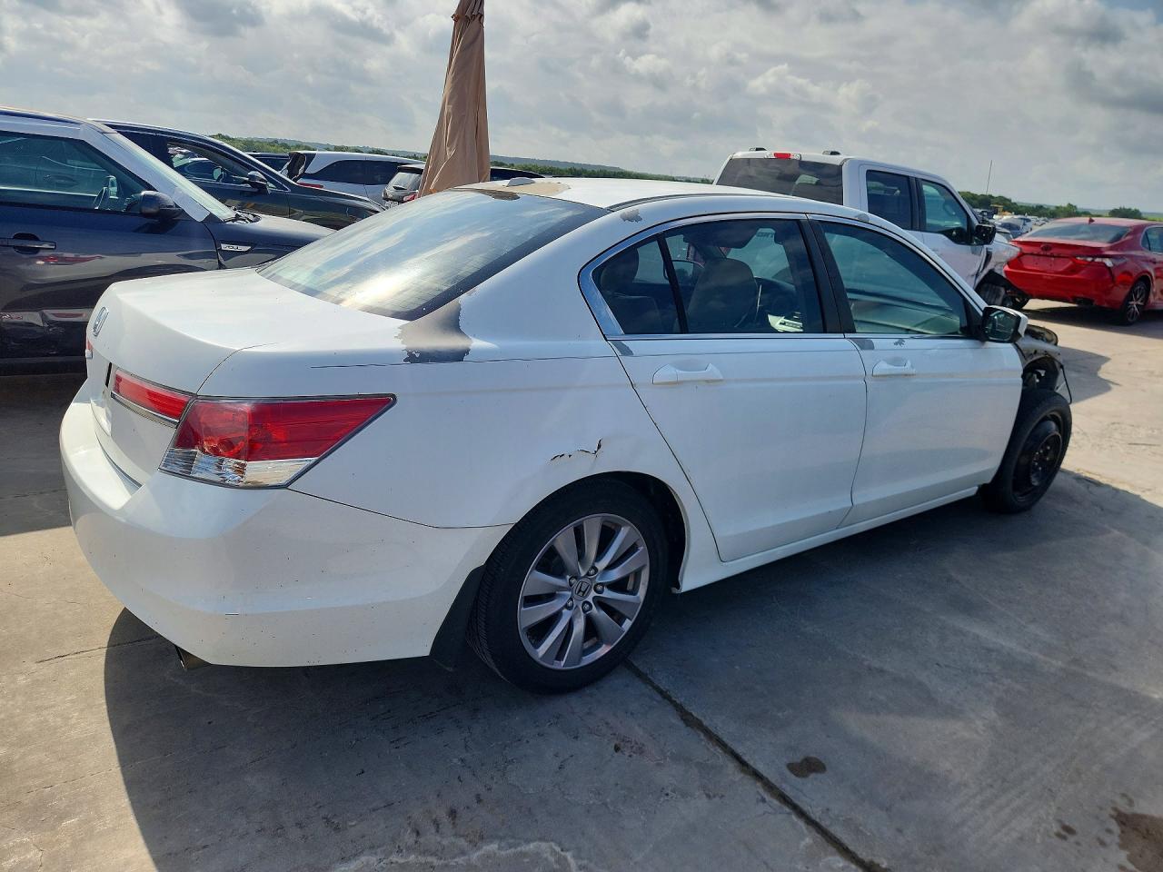 2011 Honda Accord Exl White vin: 1HGCP2F84BA125812