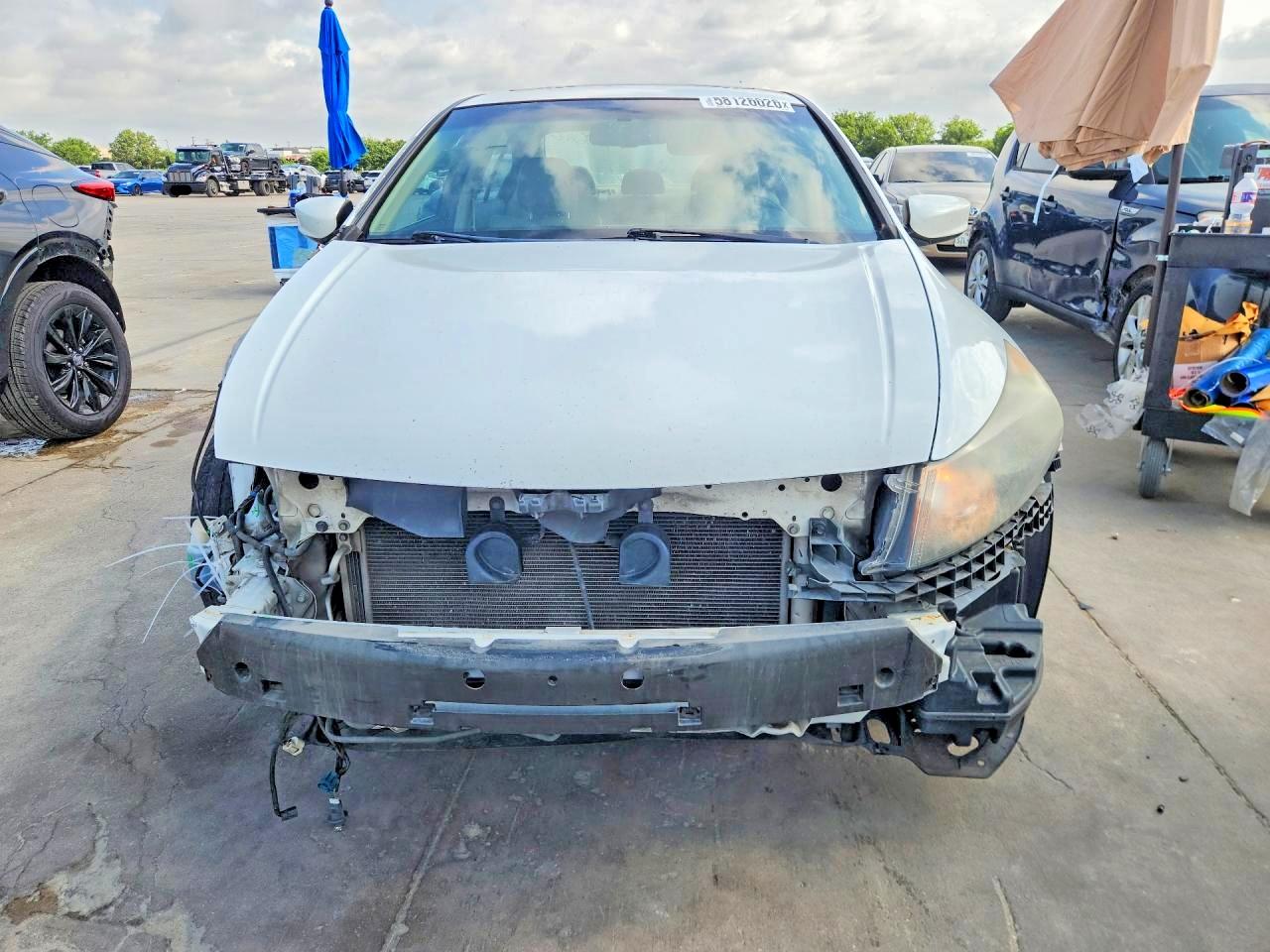 2011 Honda Accord Exl White vin: 1HGCP2F84BA125812