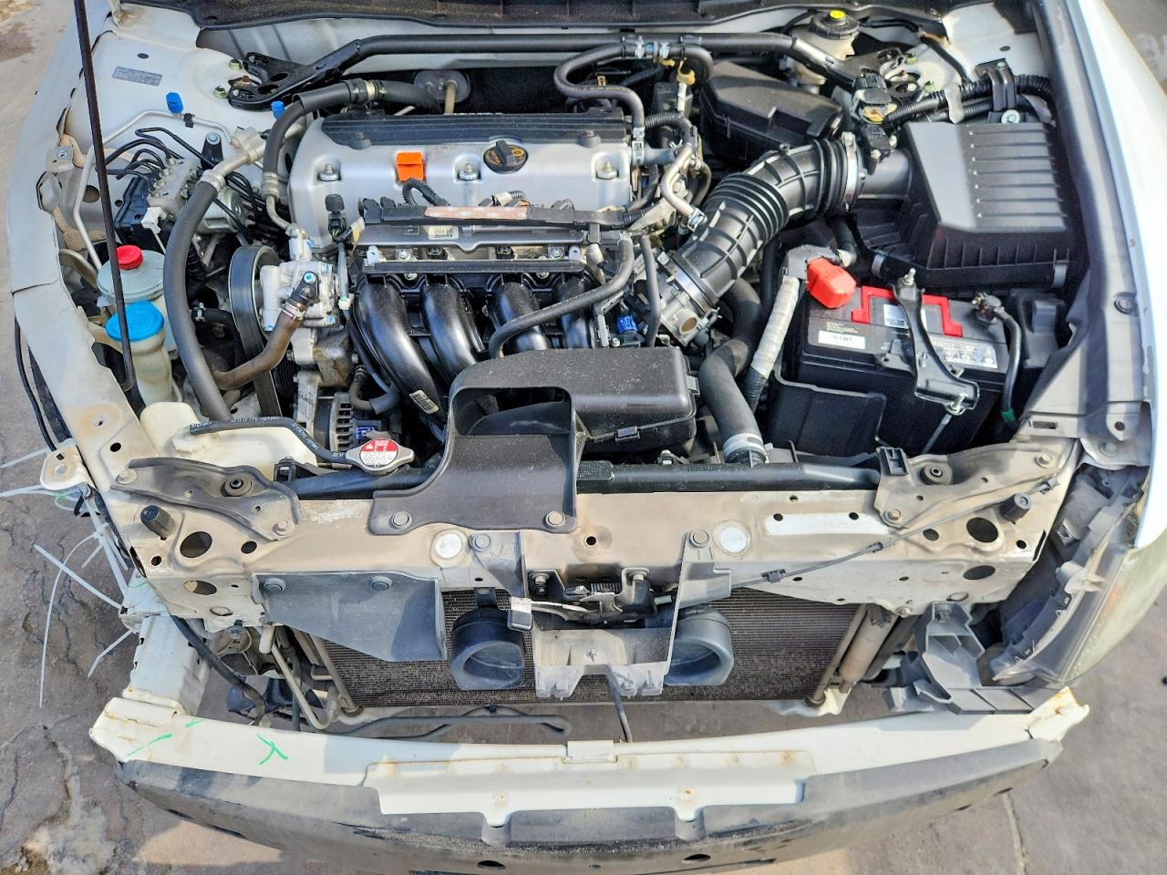 2011 Honda Accord Exl White vin: 1HGCP2F84BA125812