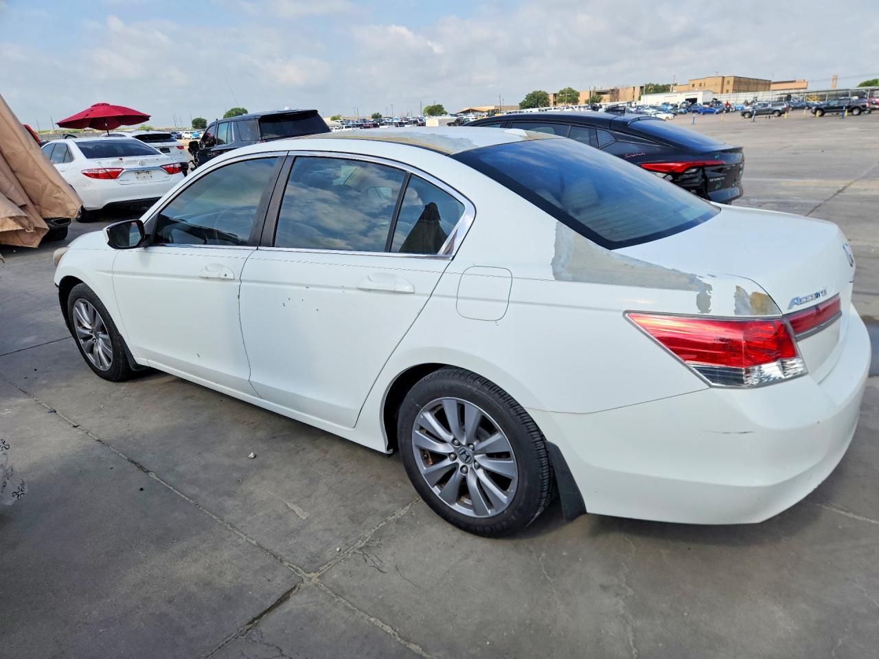 2011 Honda Accord Exl White vin: 1HGCP2F84BA125812
