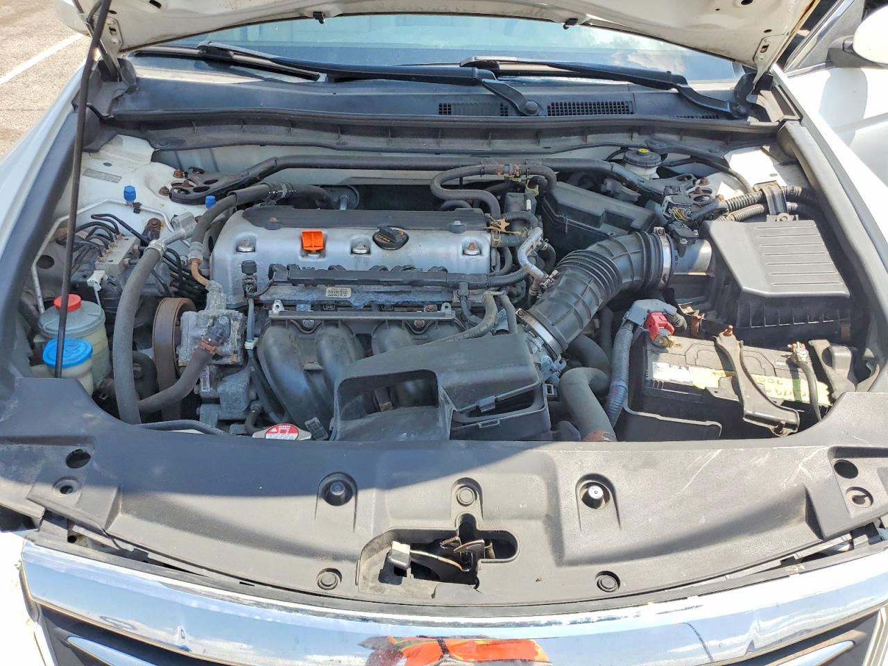 2011 Honda Accord Exl White vin: 1HGCP2F84BA149561