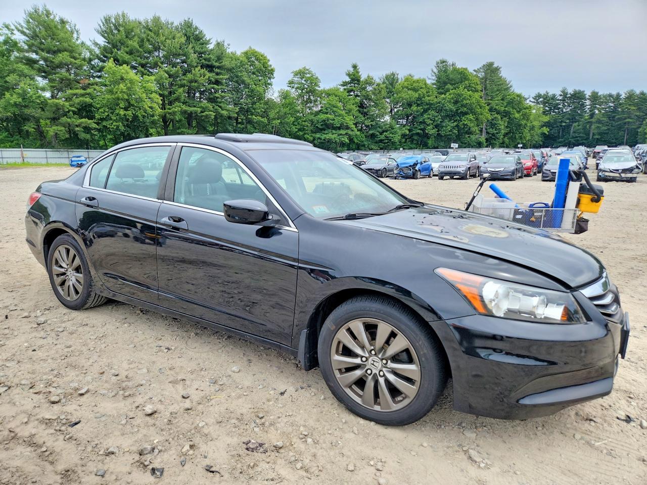 2012 Honda Accord Exl Black vin: 1HGCP2F84CA136150