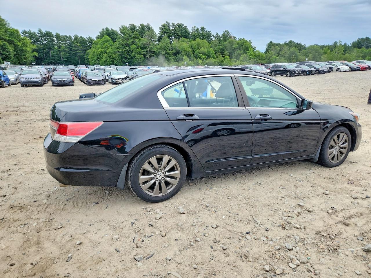 2012 Honda Accord Exl Black vin: 1HGCP2F84CA136150