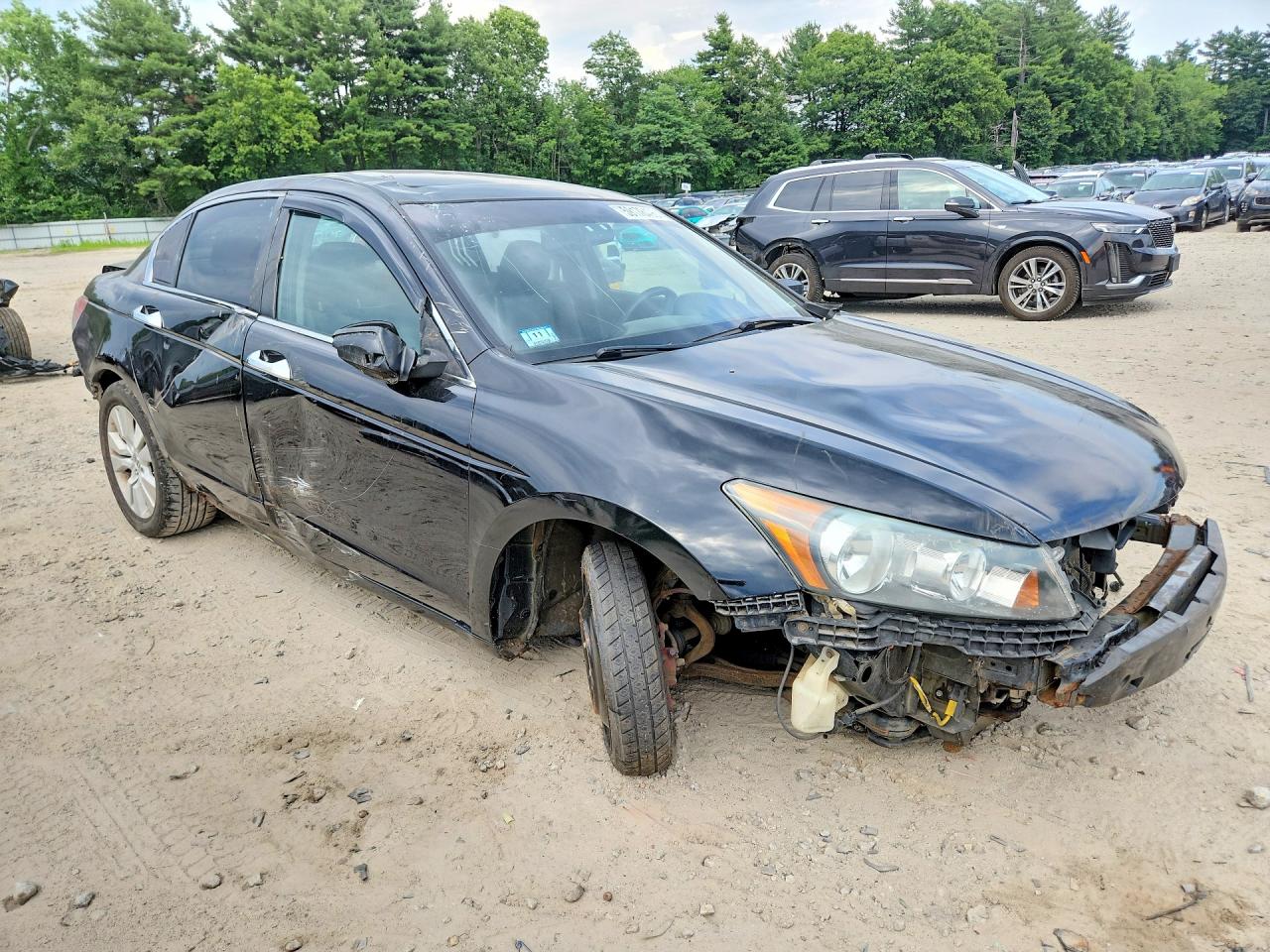 2012 Honda Accord Exl Black vin: 1HGCP2F84CA210246