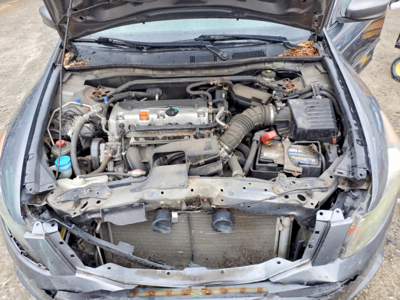 2010 Honda Accord Exl Gray vin: 1HGCP2F85AA104031