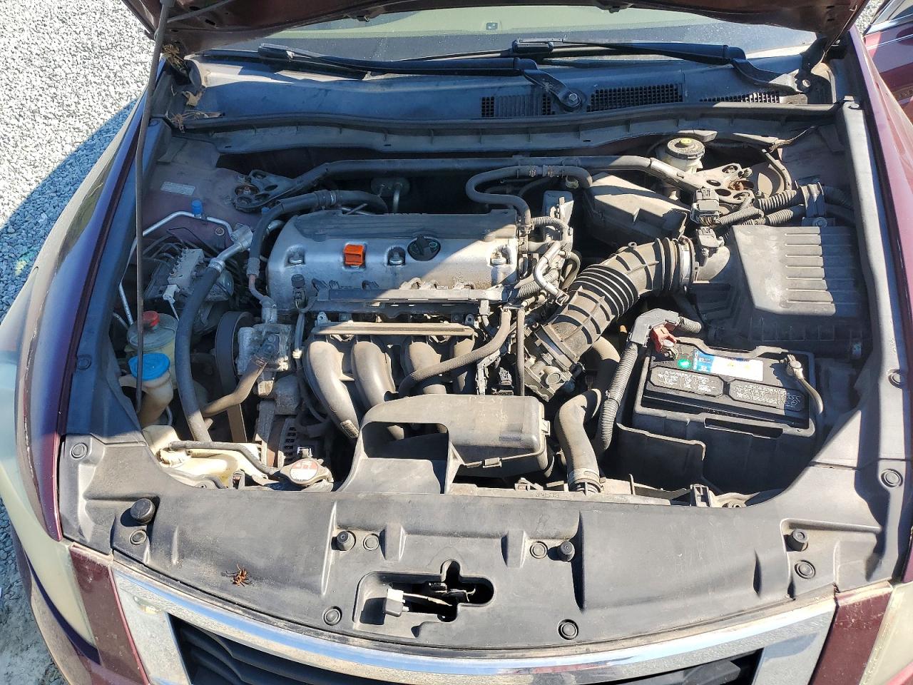 2010 Honda Accord Exl Burgundy vin: 1HGCP2F85AA165878