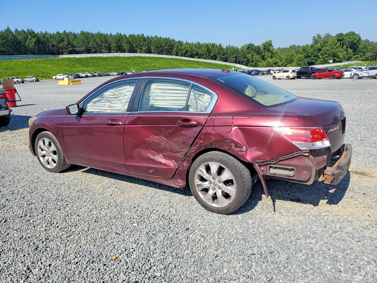 2010 Honda Accord Exl Burgundy vin: 1HGCP2F85AA165878