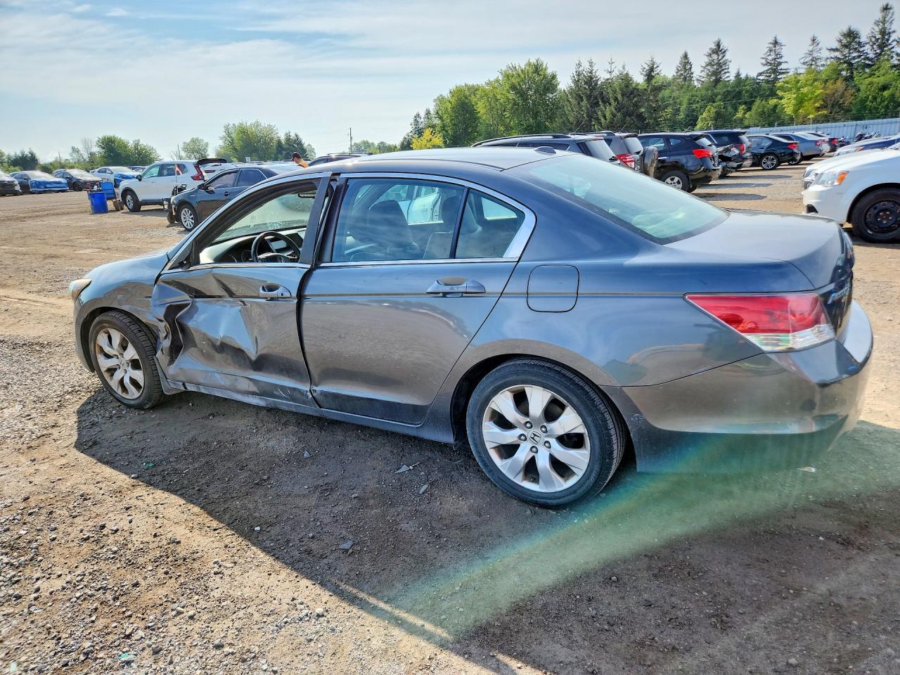 2010 Honda Accord Exl Gray vin: 1HGCP2F85AA807757