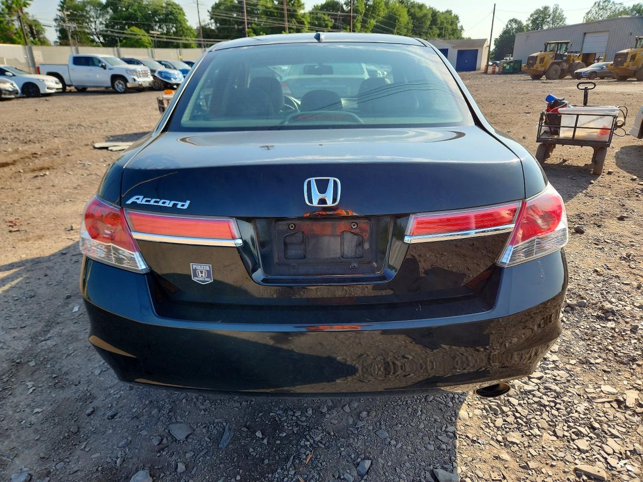 2011 Honda Accord Exl Black vin: 1HGCP2F85BA011690
