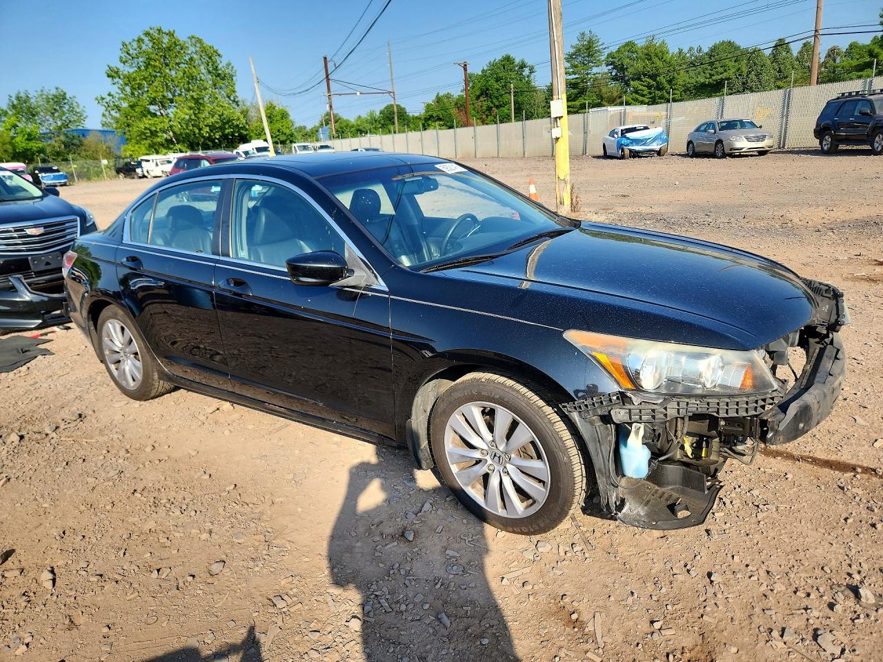 2011 Honda Accord Exl Black vin: 1HGCP2F85BA011690
