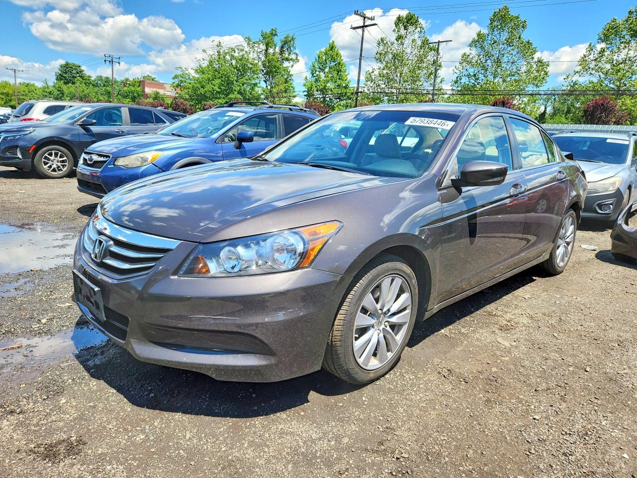 2011 Honda Accord Exl Brown vin: 1HGCP2F85BA025220
