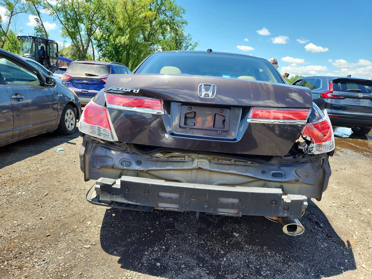 2011 Honda Accord Exl Brown vin: 1HGCP2F85BA025220