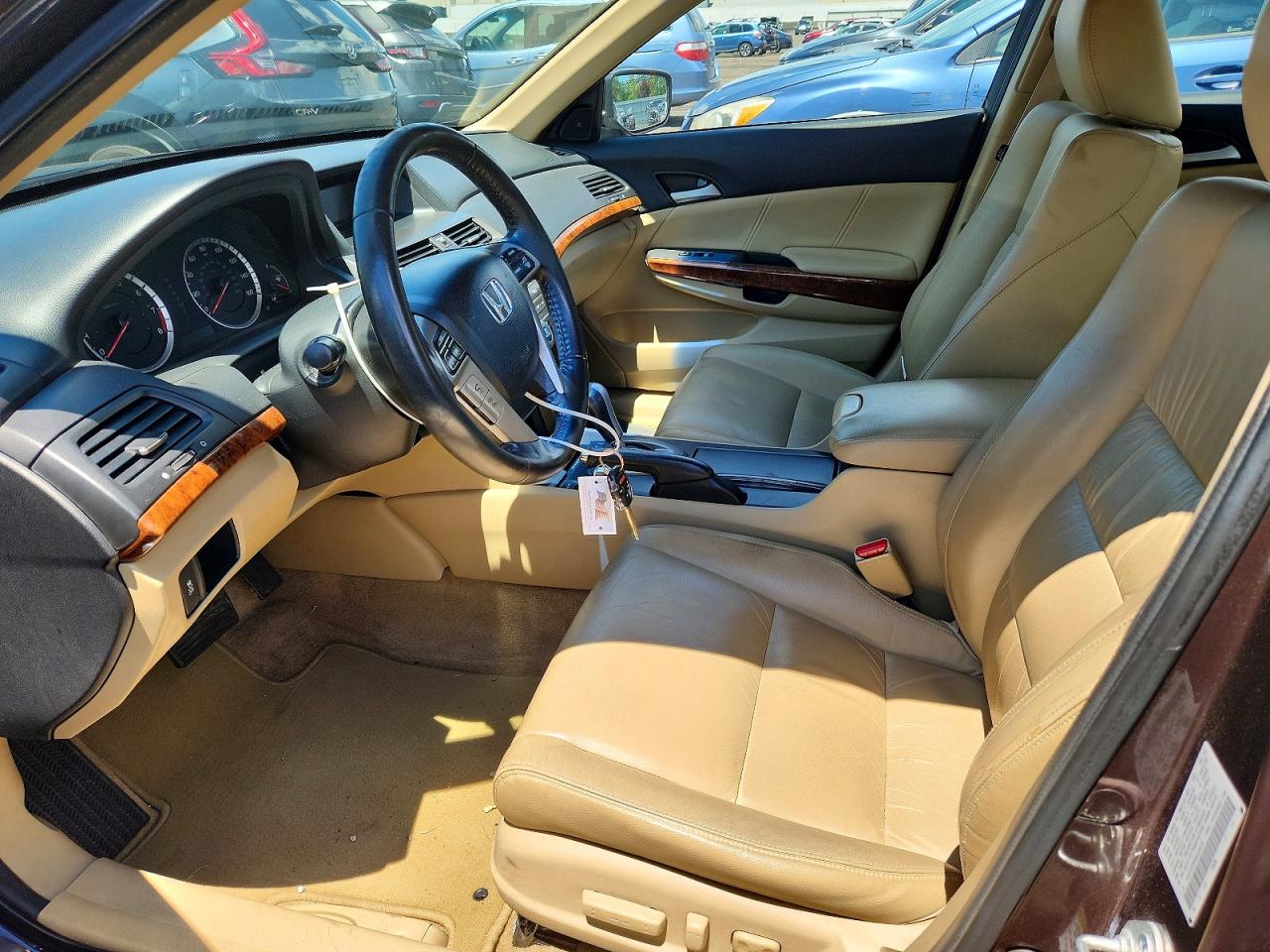 2011 Honda Accord Exl Brown vin: 1HGCP2F85BA025220