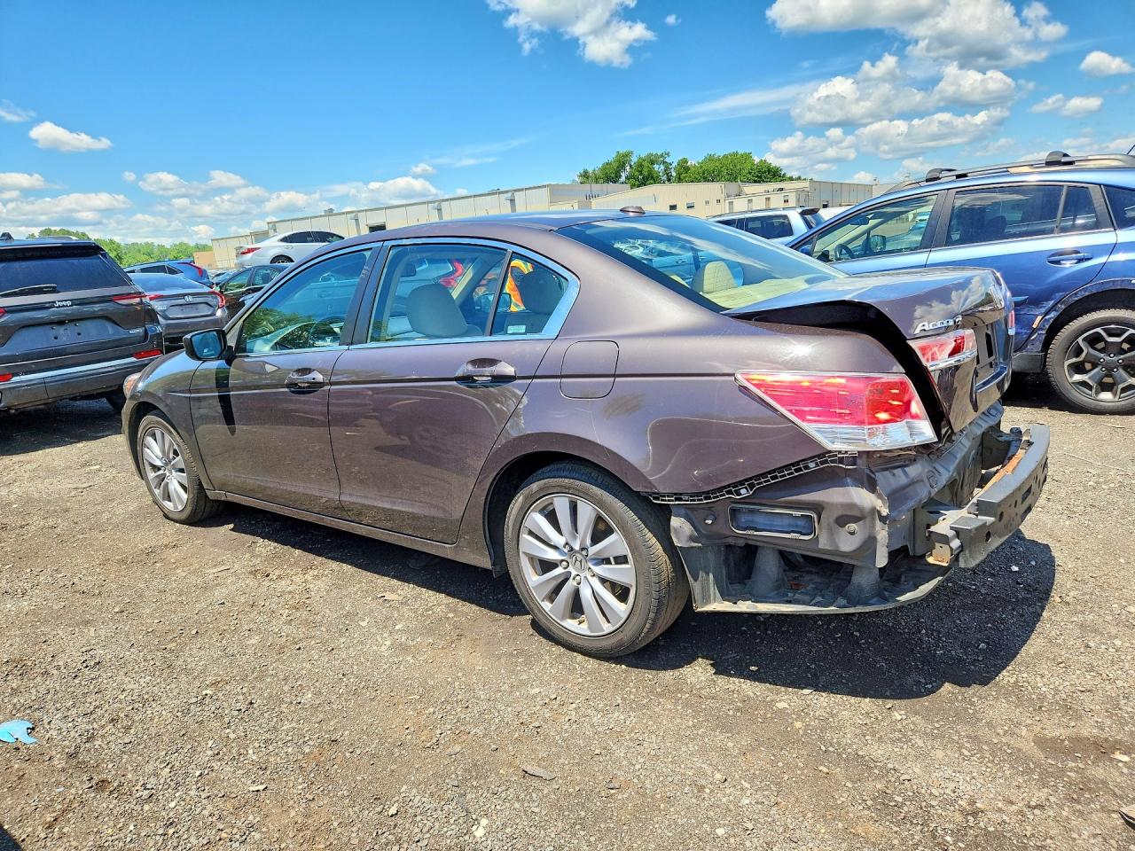 2011 Honda Accord Exl Brown vin: 1HGCP2F85BA025220