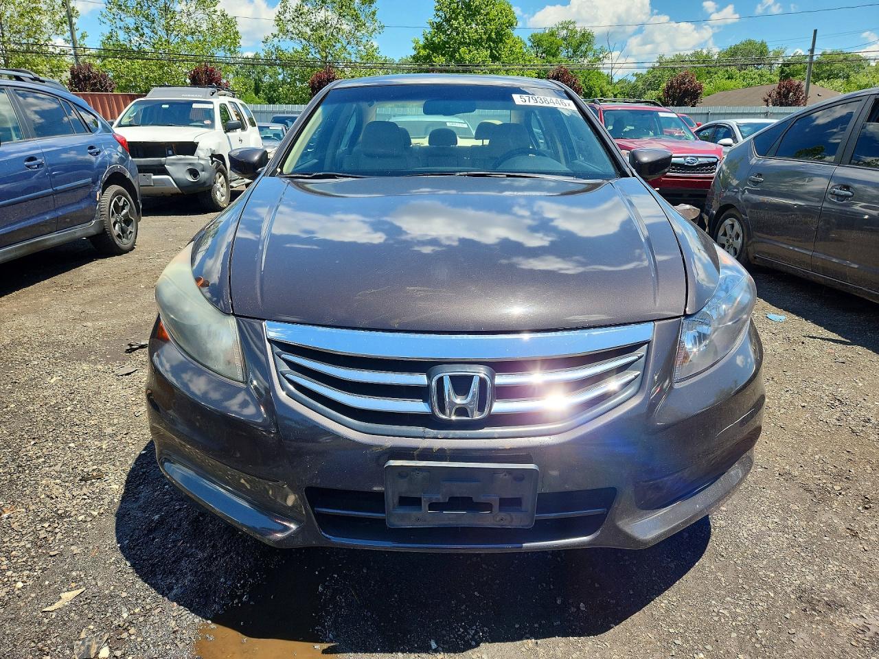 2011 Honda Accord Exl Brown vin: 1HGCP2F85BA025220