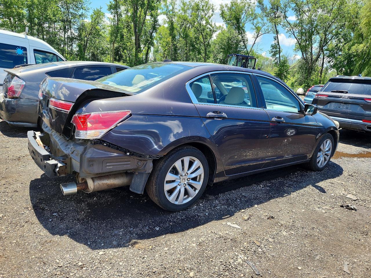 2011 Honda Accord Exl Brown vin: 1HGCP2F85BA025220