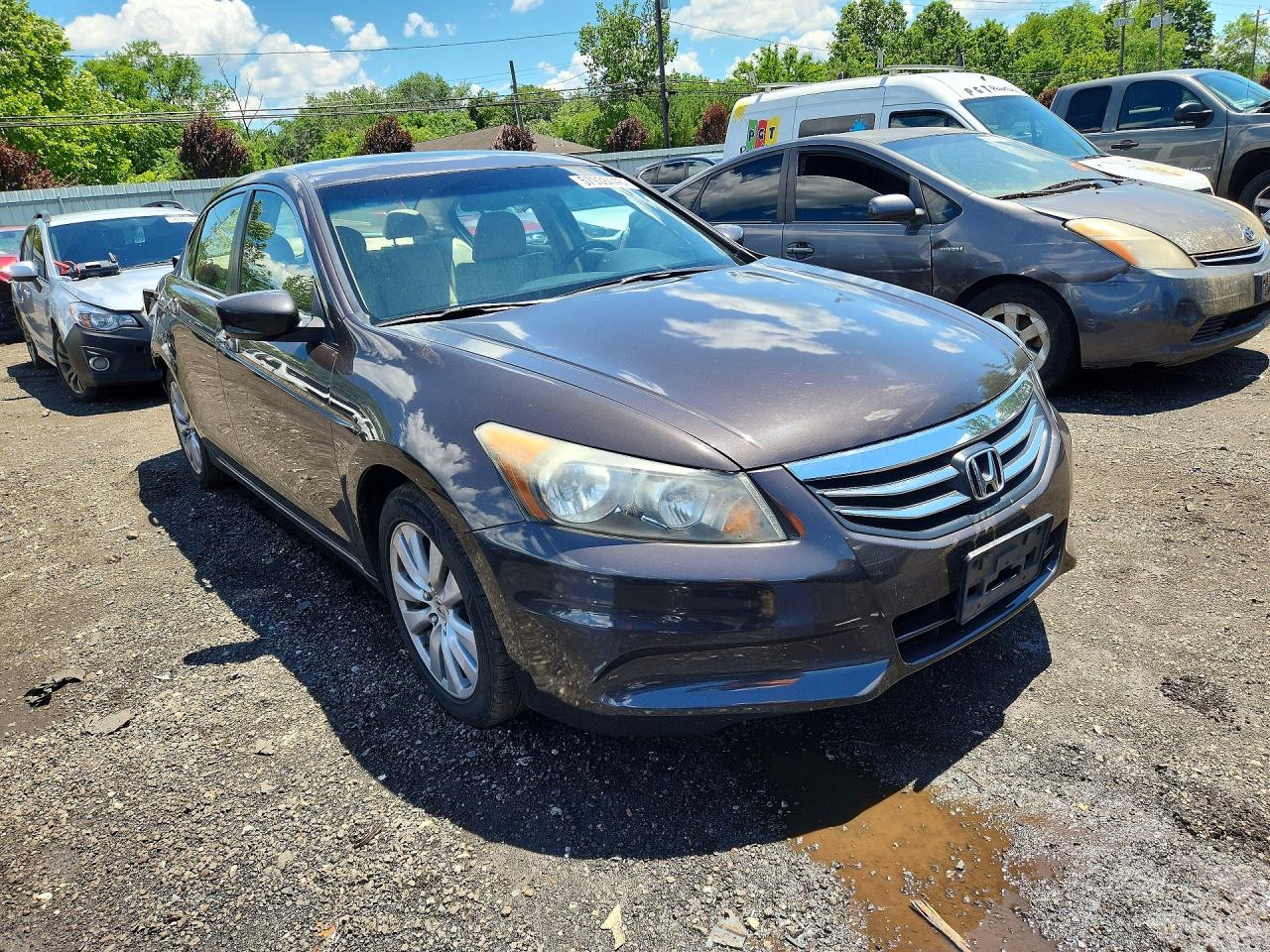 2011 Honda Accord Exl Brown vin: 1HGCP2F85BA025220