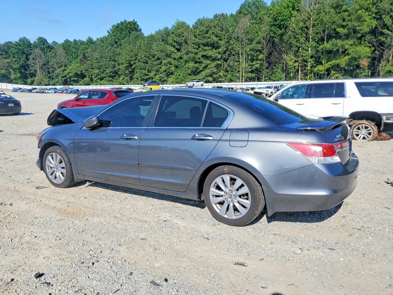 2011 Honda Accord Exl Gray vin: 1HGCP2F85BA034421
