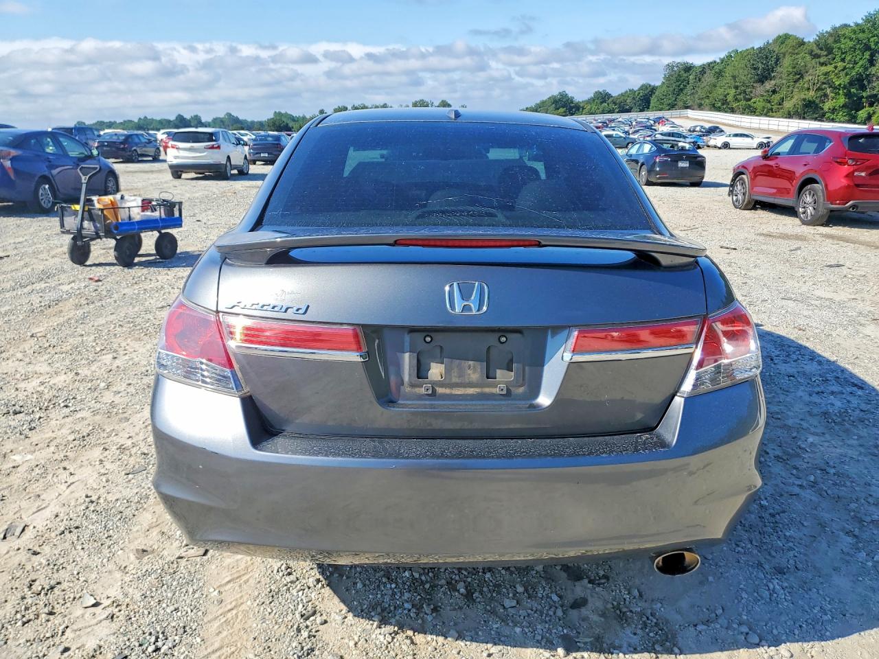 2011 Honda Accord Exl Gray vin: 1HGCP2F85BA034421