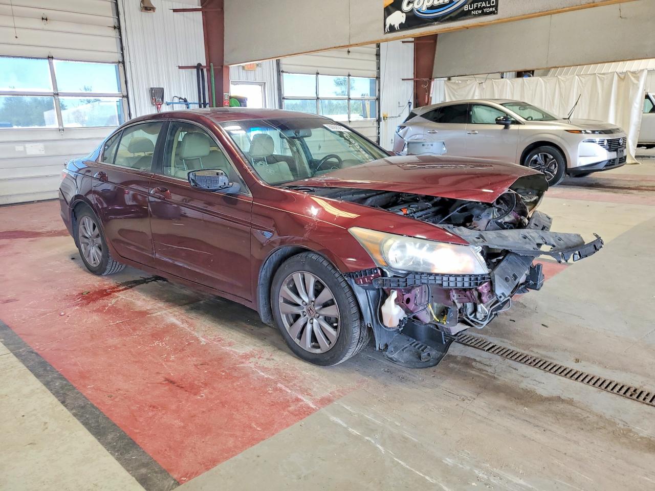 2011 Honda Accord Exl Burgundy vin: 1HGCP2F85BA038985