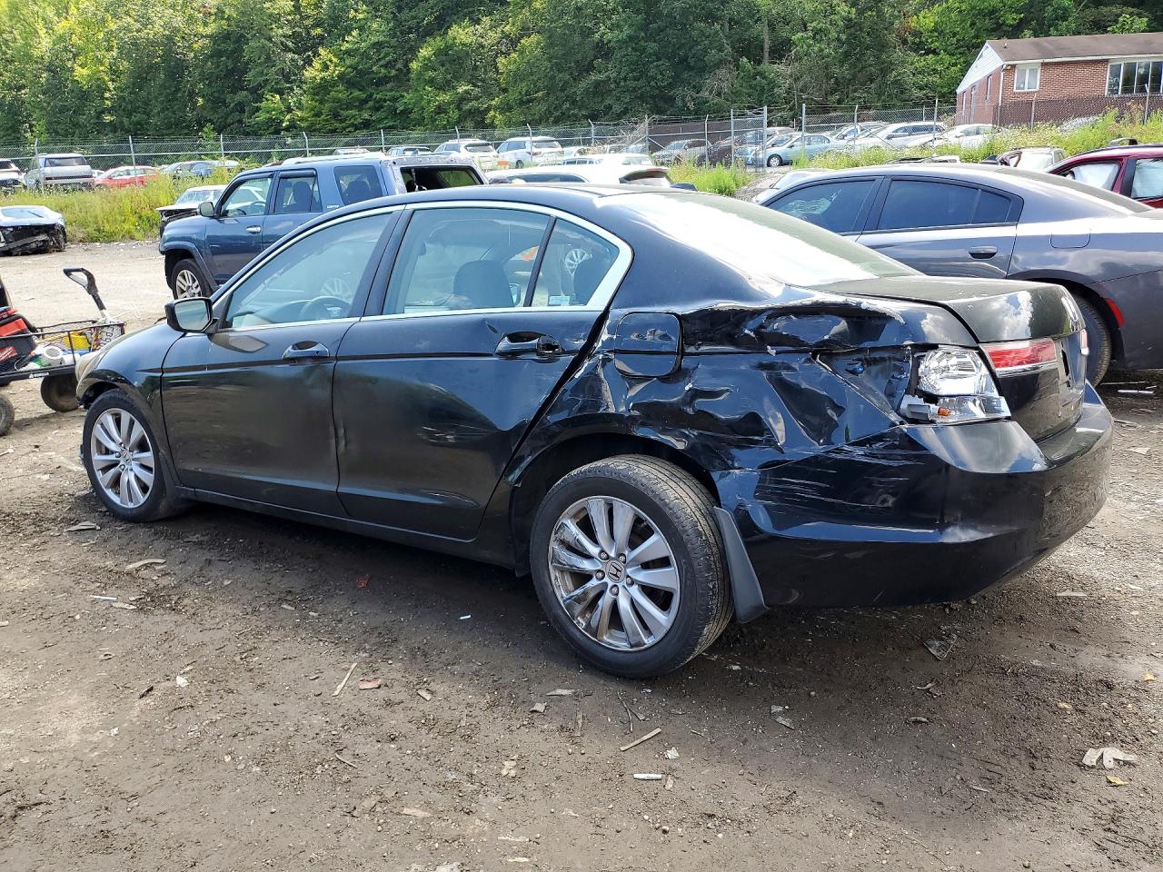 2011 Honda Accord Exl Black vin: 1HGCP2F85BA041255