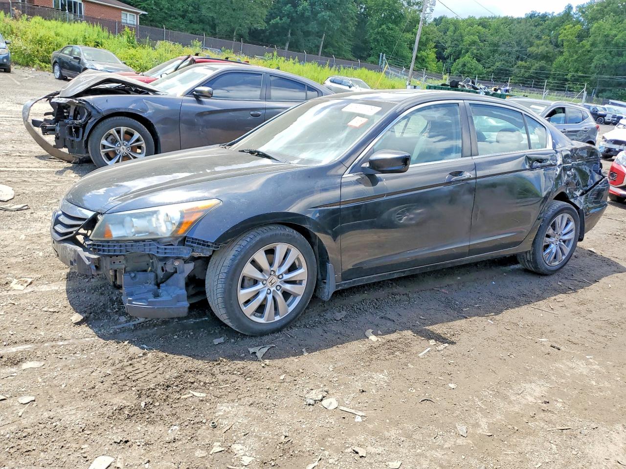 2011 Honda Accord Exl Black vin: 1HGCP2F85BA041255