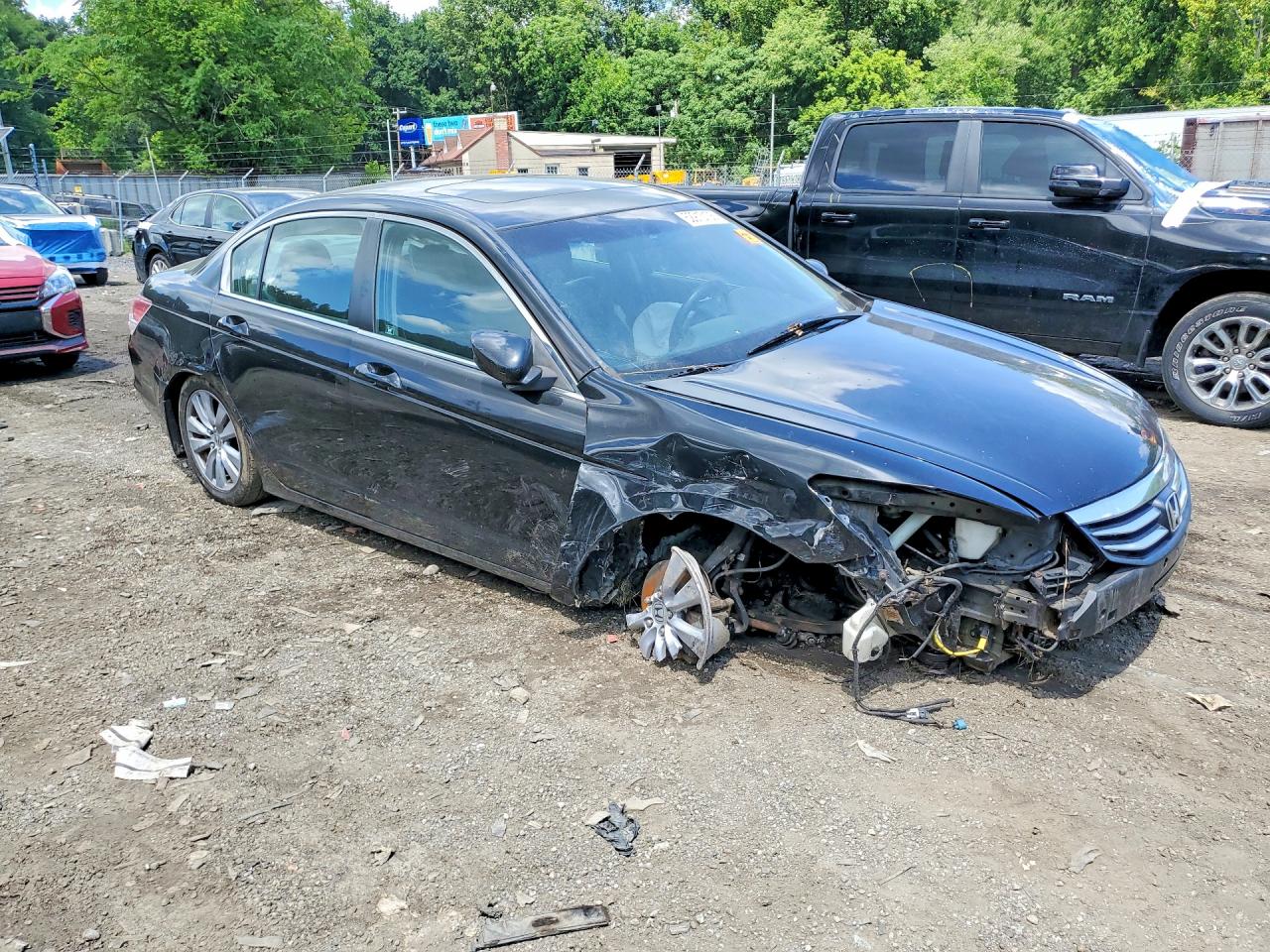 2011 Honda Accord Exl Black vin: 1HGCP2F85BA041255