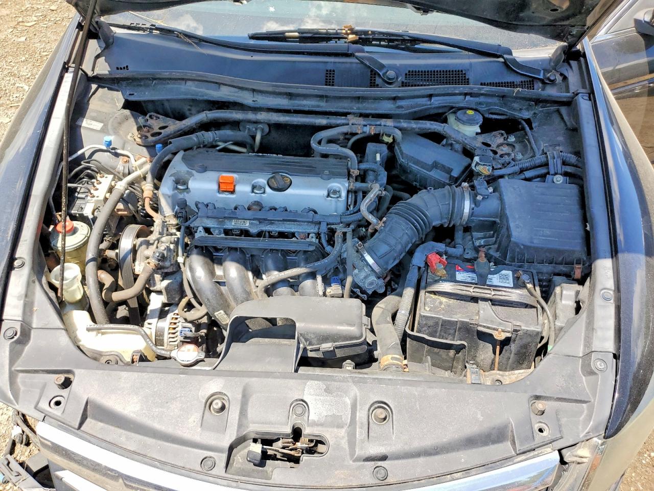 2011 Honda Accord Exl Black vin: 1HGCP2F85BA041255