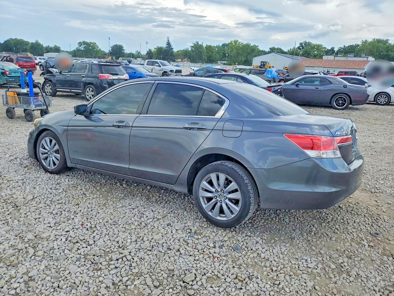 2011 Honda Accord Exl Gray vin: 1HGCP2F85BA043460