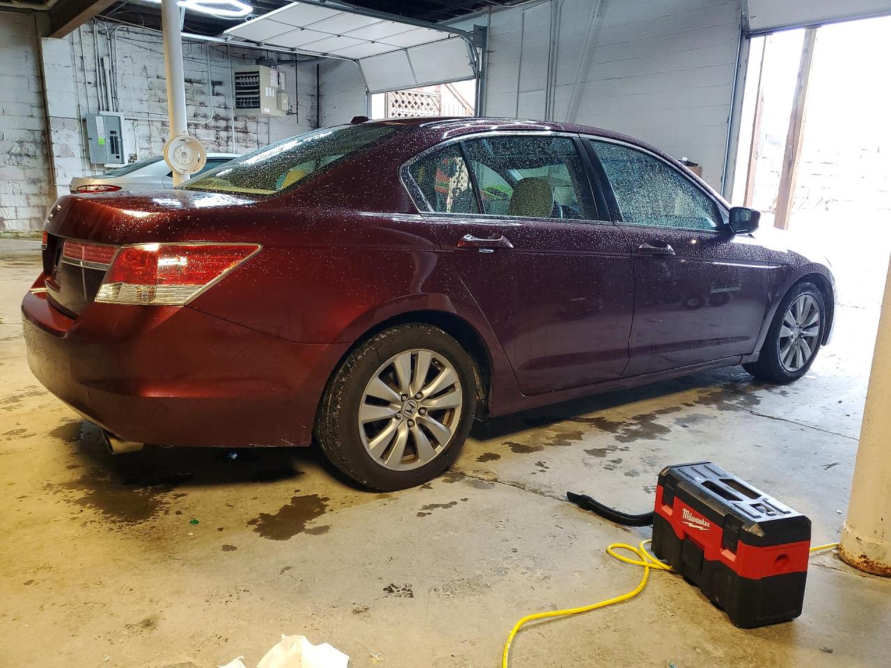 2011 Honda Accord Exl Maroon vin: 1HGCP2F85BA057049