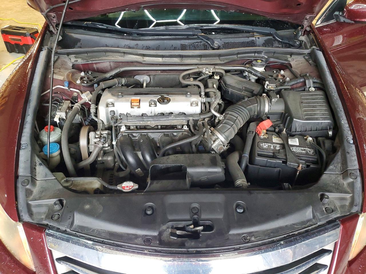2011 Honda Accord Exl Maroon vin: 1HGCP2F85BA057049