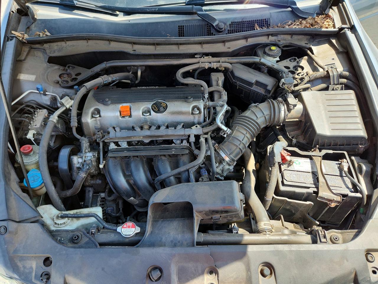2011 Honda Accord Exl Charcoal vin: 1HGCP2F85BA121266