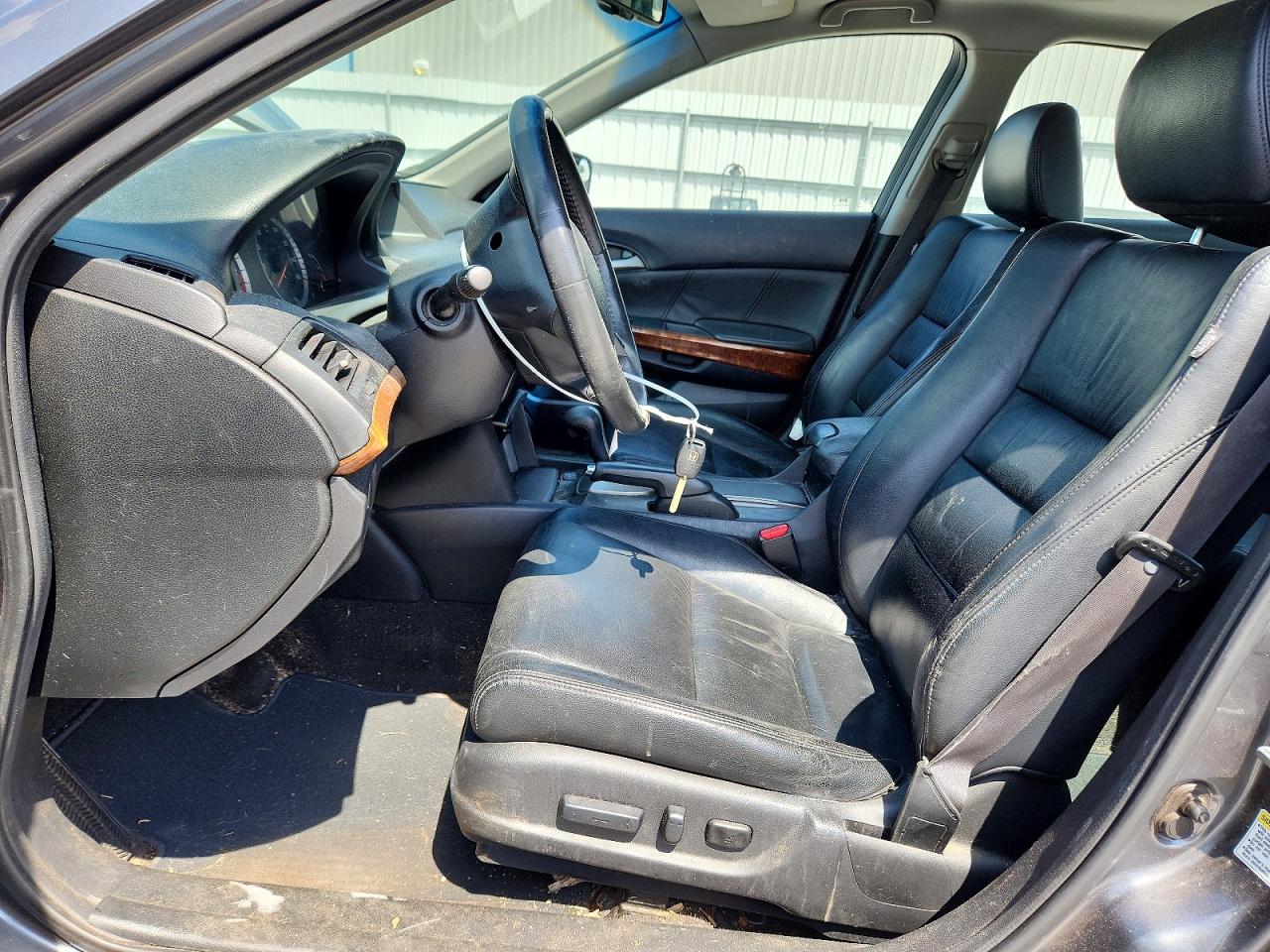 2011 Honda Accord Exl Charcoal vin: 1HGCP2F85BA121266