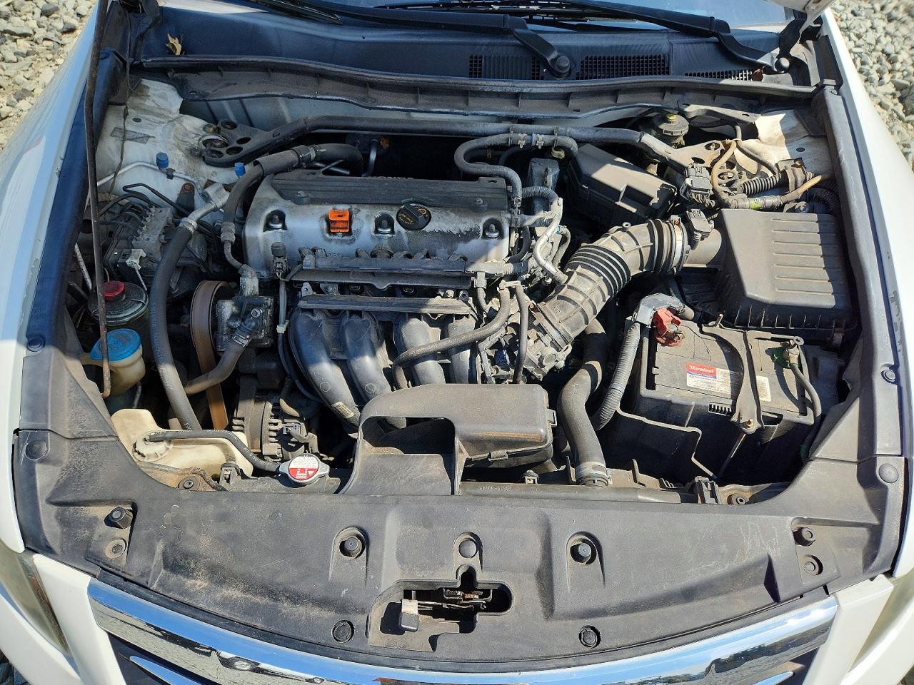 2011 Honda Accord Exl White vin: 1HGCP2F85BA126256