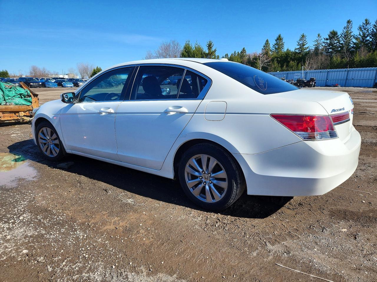 2011 Honda Accord Exl Белый vin: 1HGCP2F85BA804455