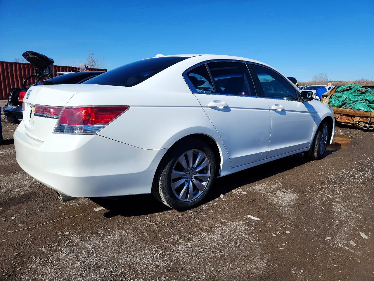 2011 Honda Accord Exl Белый vin: 1HGCP2F85BA804455