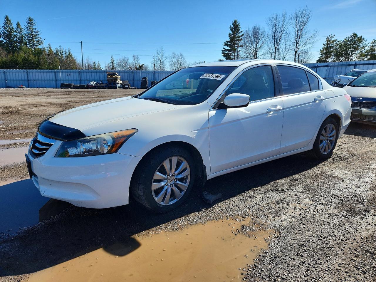 2011 Honda Accord Exl Белый vin: 1HGCP2F85BA804455